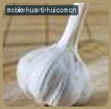 王磊